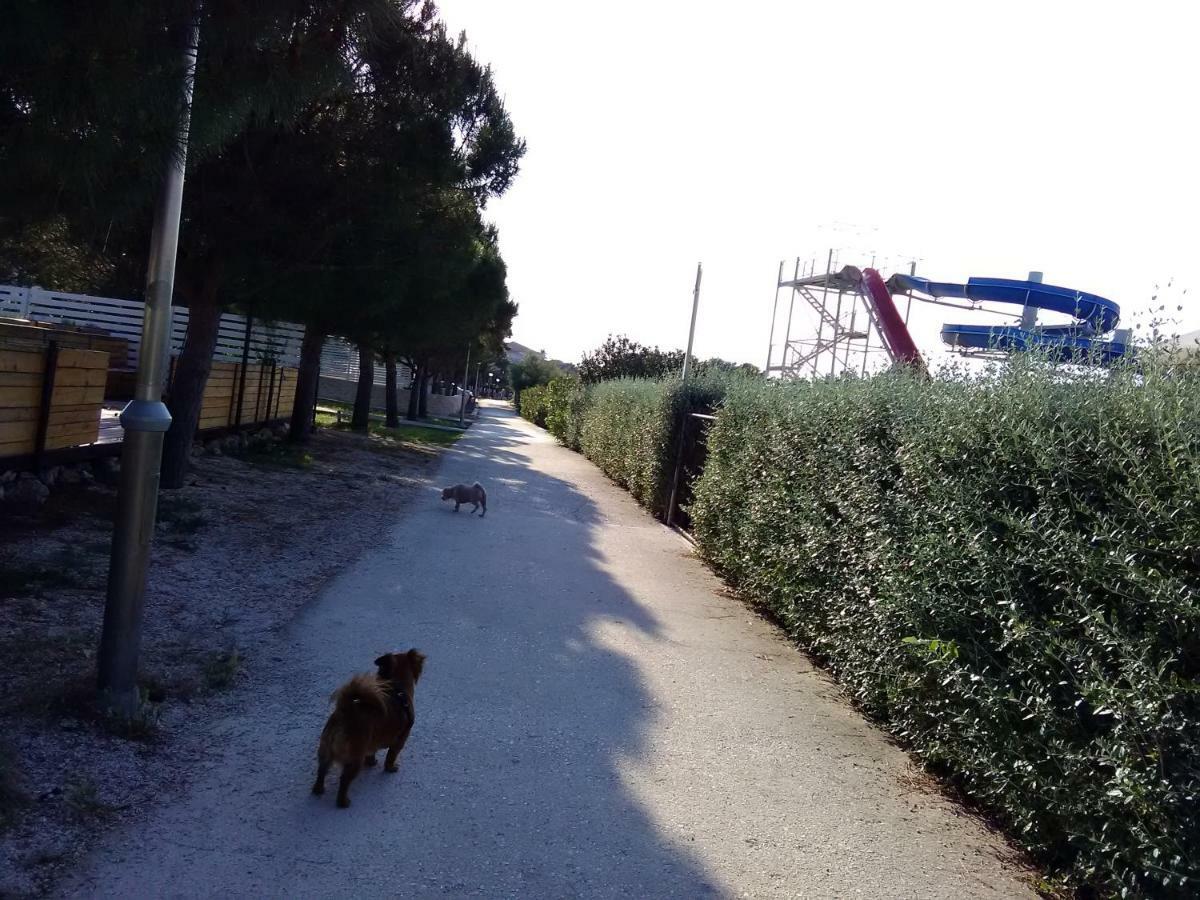 Apartmani Vesna Supetar Bagian luar foto